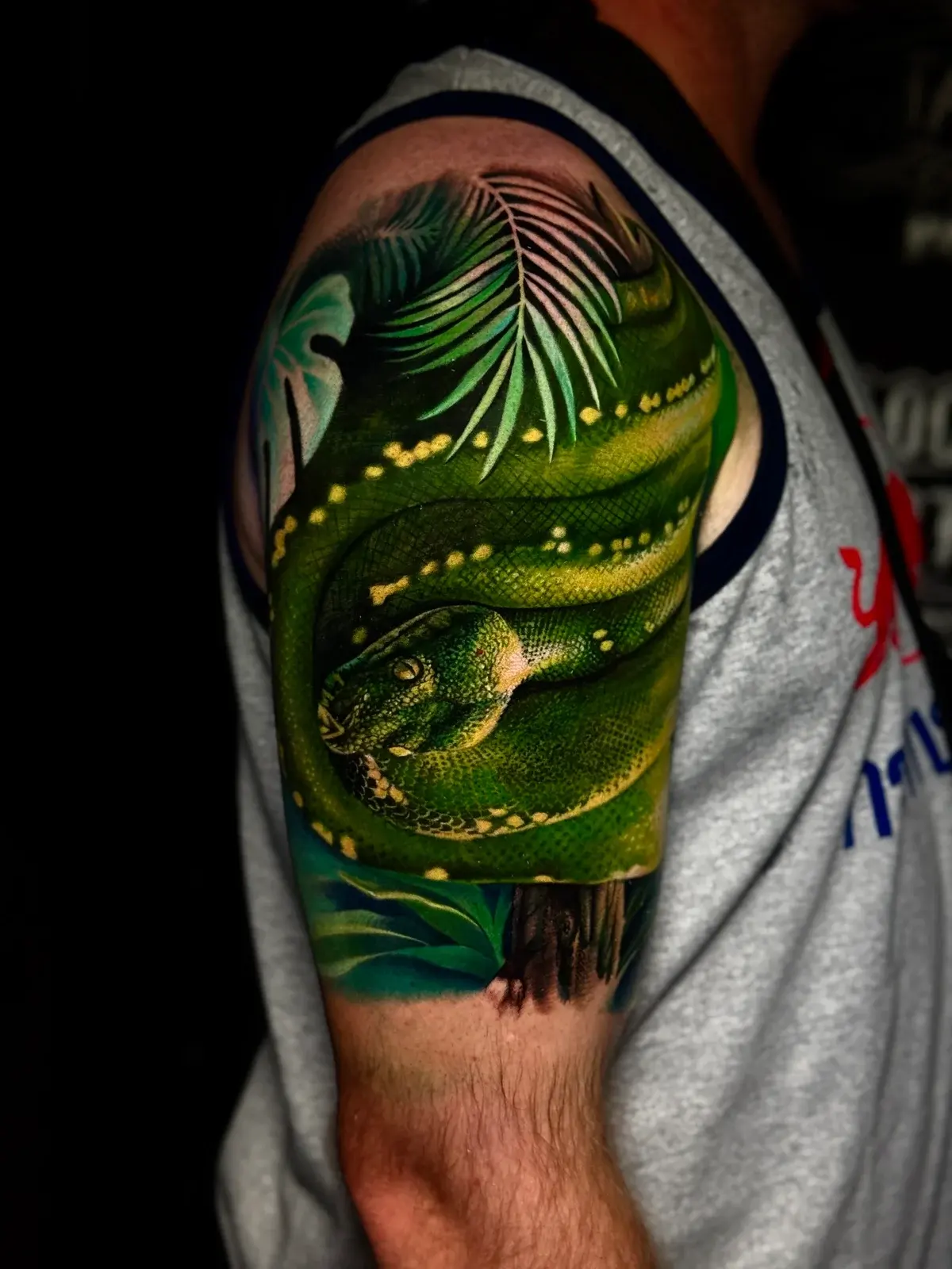 Colour realism shoulder tattoo of a green tree python coiled through lush tropical palm leaves and jungle foliage at Bloodline Tattoo Phuket.